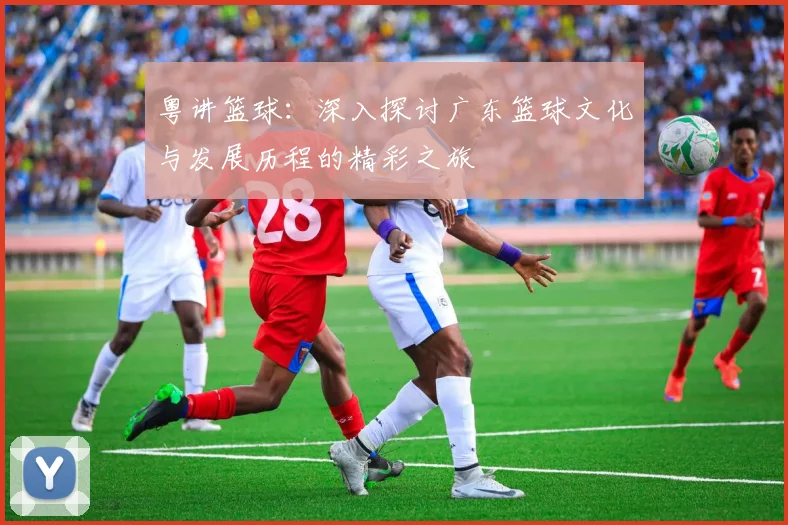 粤讲篮球：深入探讨广东篮球文化与发展历程的精彩之旅