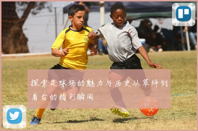 探索足球场的魅力与历史从草坪到看台的精彩瞬间