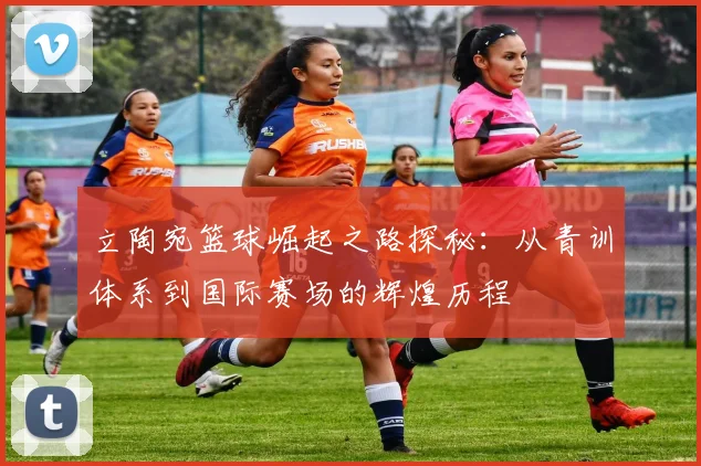 立陶宛篮球崛起之路探秘：从青训体系到国际赛场的辉煌历程