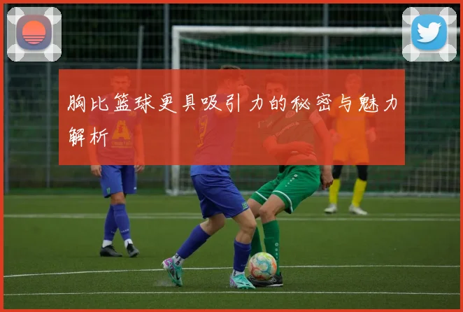 胸比篮球更具吸引力的秘密与魅力解析