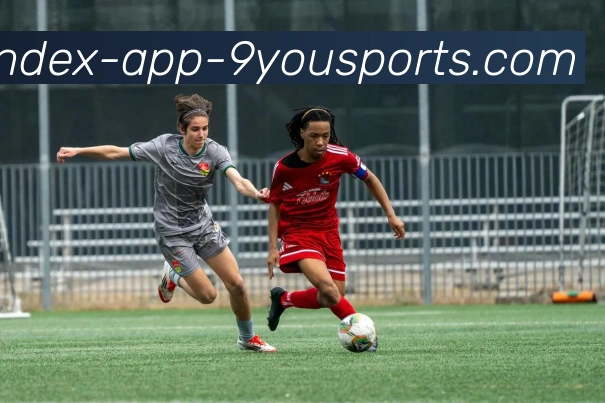 九游体育服务体系