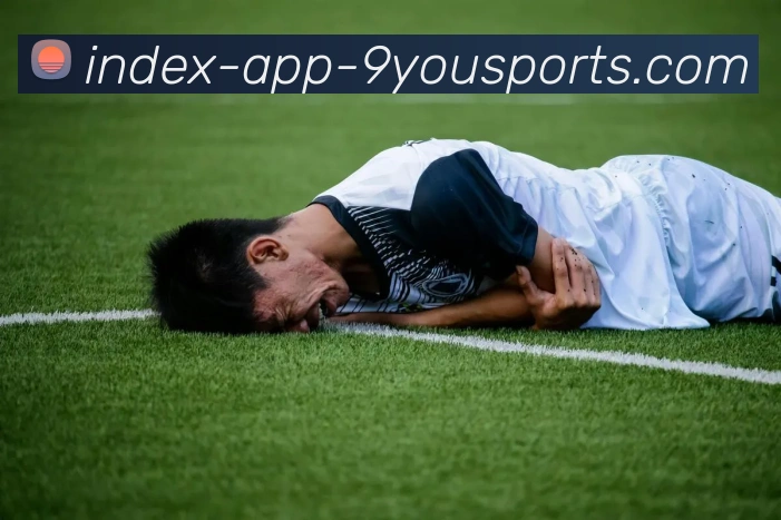 九游体育APP 封面图